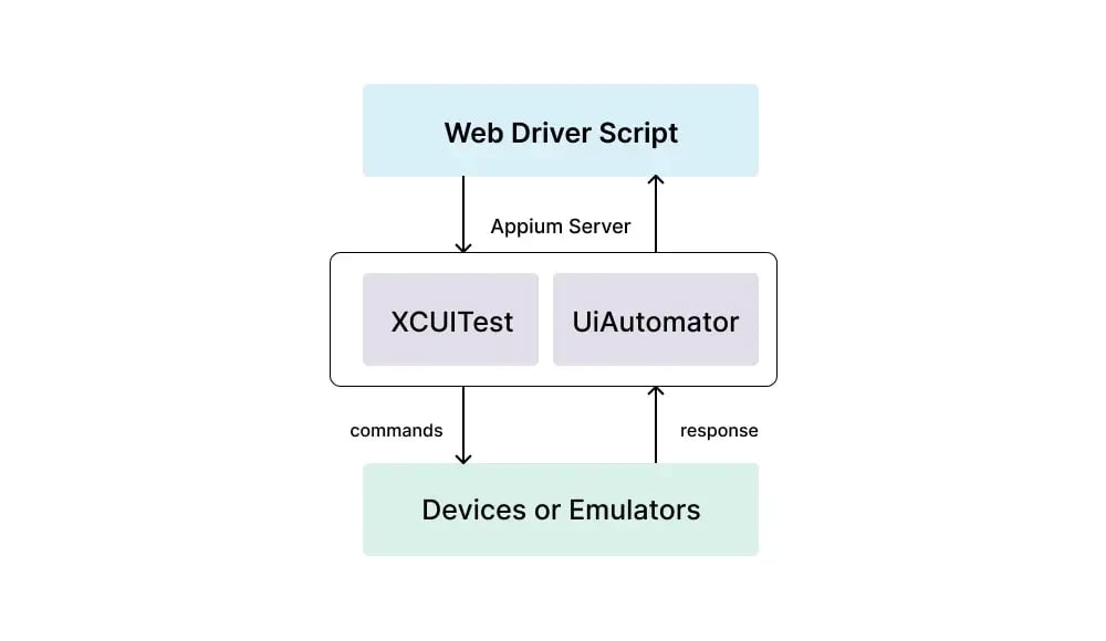 appium-web-driver-script